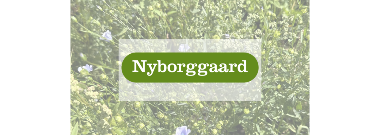 NYBORGGAARD