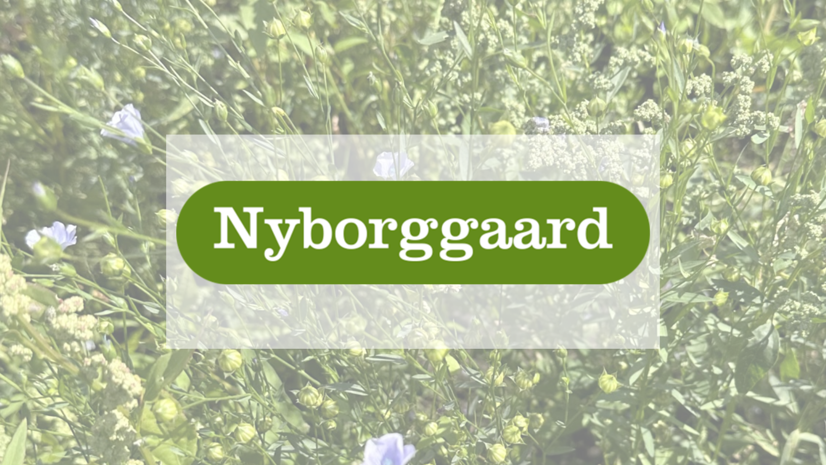 NYBORGGAARD