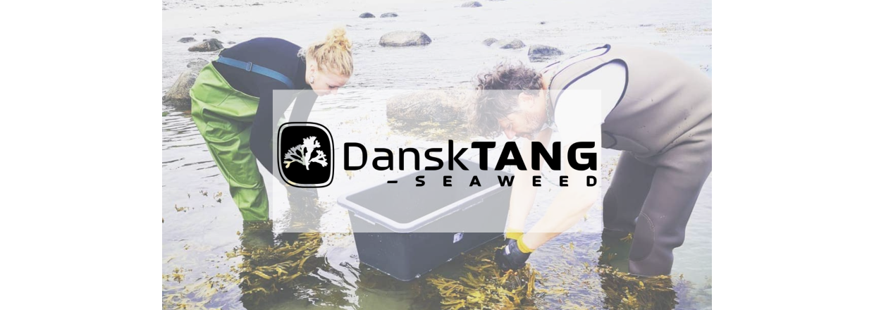 Dansk Tang - Danish Seaweed