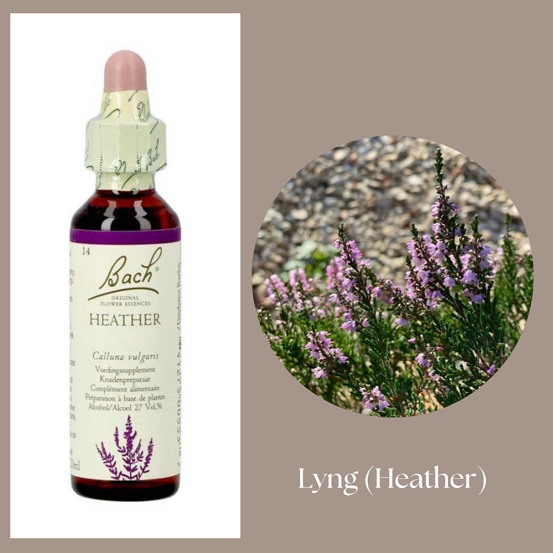 Bach® ORIGINAL FLOWER REMEDIES - Ljung (Heather) 27% alkohol - 20 ml