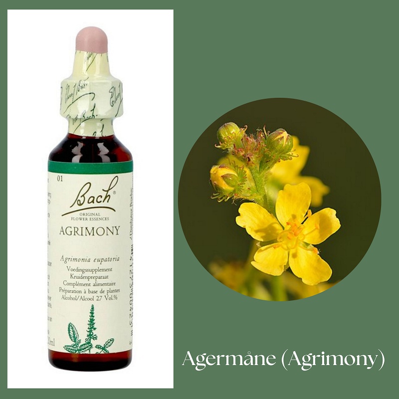 Bach® ORIGINAL FLOWER REMEDIES - Agrimony 27% alkohol - 20ml