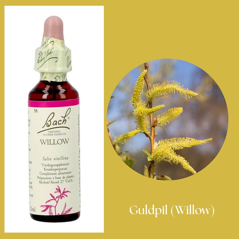 Bach® ORIGINAL FLOWER REMEDIES - Guldpil (Willow) 27% alkohol - 20 ml