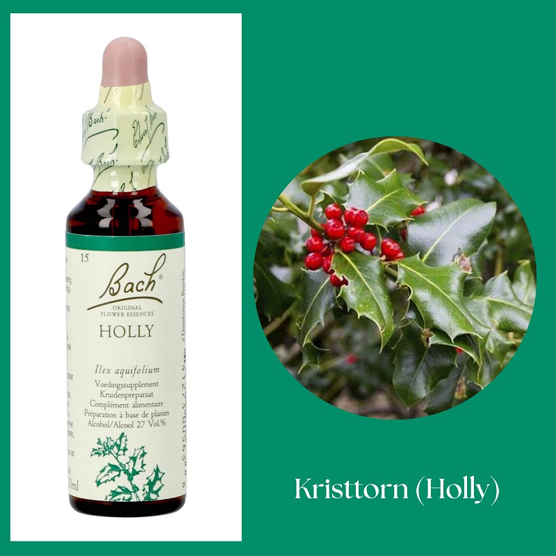 Bach® ORIGINAL FLOWER REMEDIES - Järnek (Holly) 27% alkohol - 20 ml