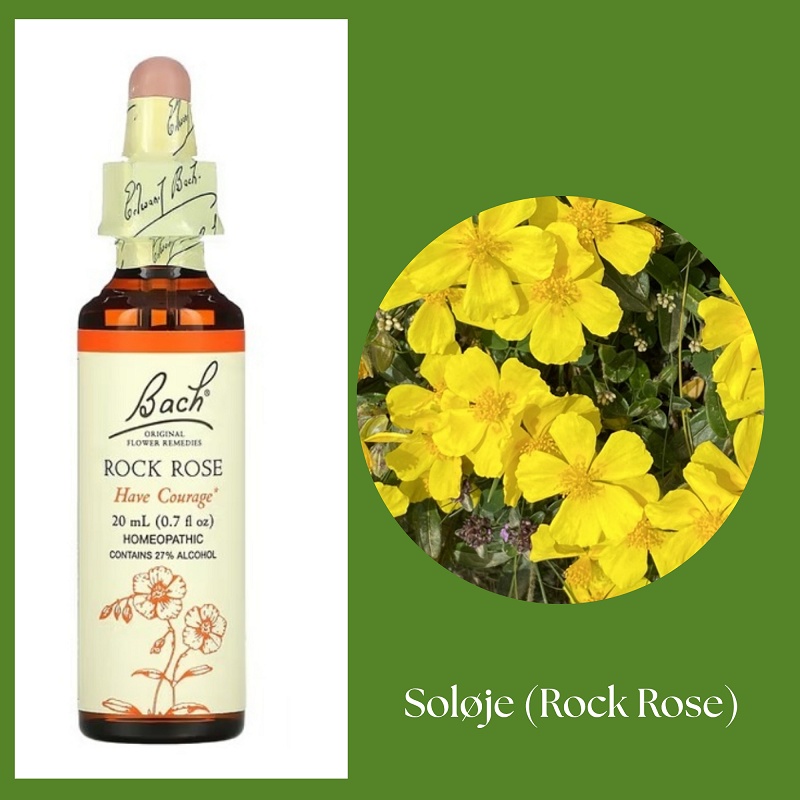 Bach® ORIGINAL FLOWER REMEDIES - Solöga (Rock Rose) 27% alkohol - 20 ml