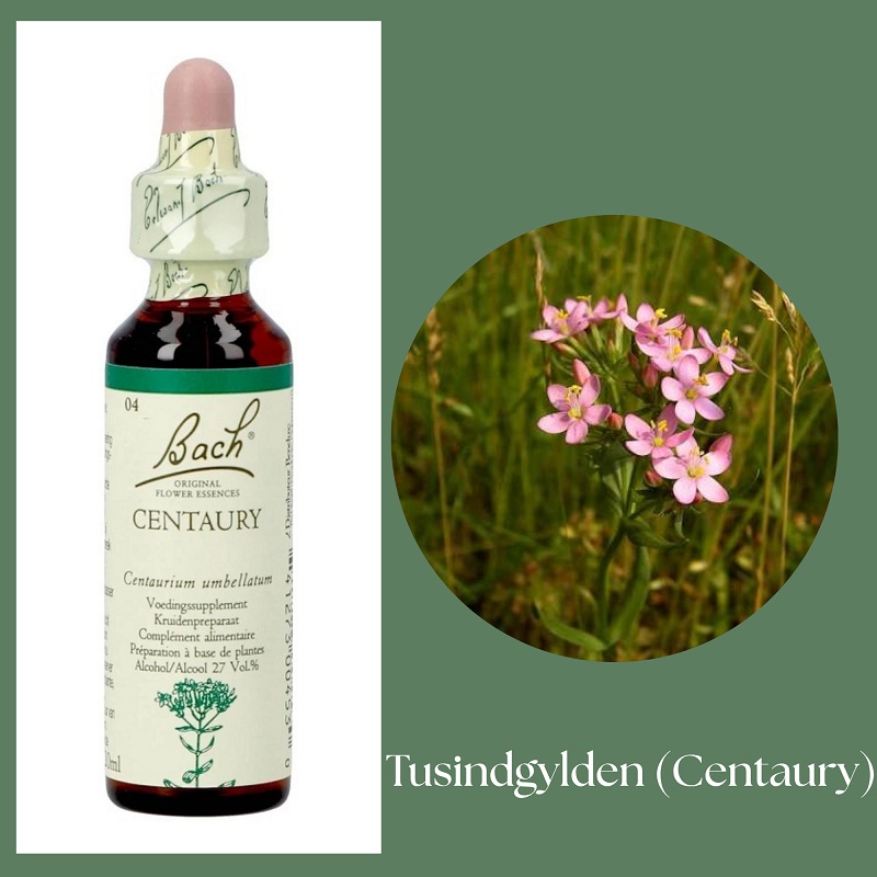 Bach® ORIGINAL FLOWER REMEDIES - Tusengyllenört (Centaury) 27% alkohol - 20 ml