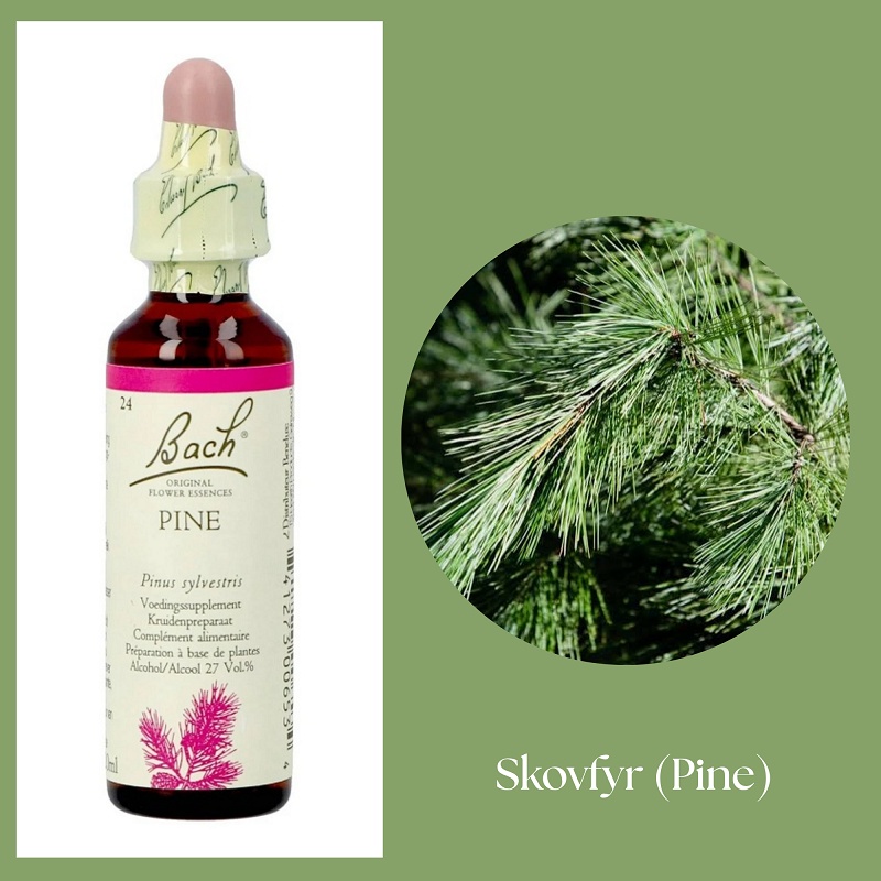 Bach® ORIGINAL FLOWER REMEDIES - Tall (Pine) 27% alkohol - 20 ml