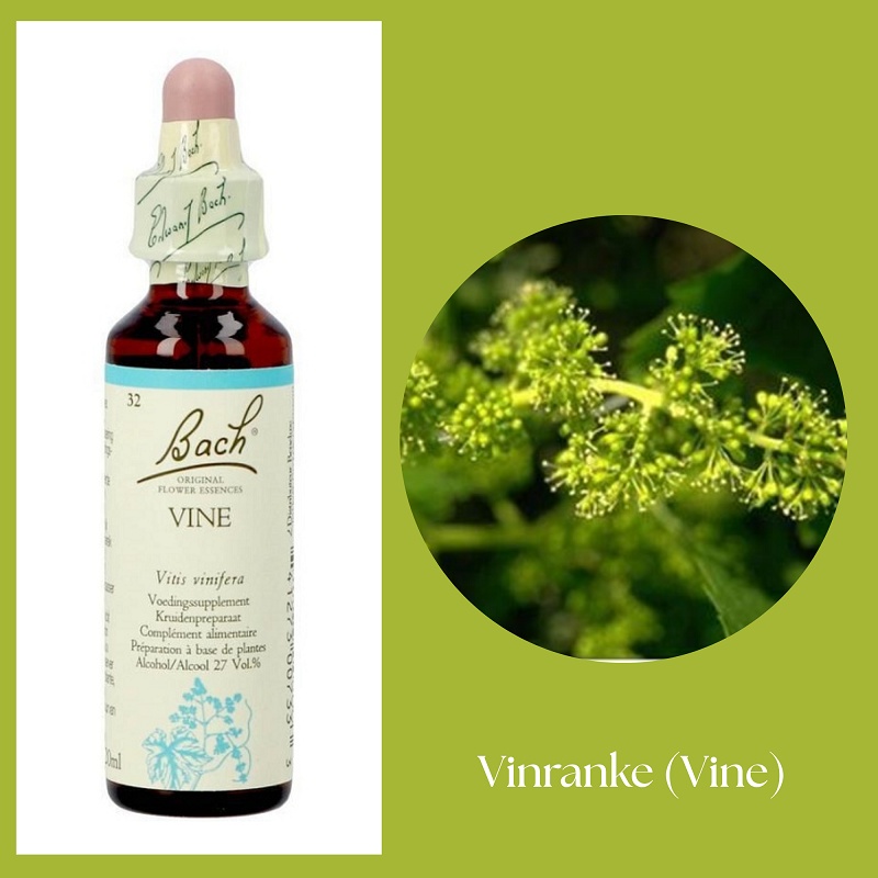 Bach® ORIGINAL FLOWER REMEDIES - Vin (Vine) 27% alkohol - 20 ml