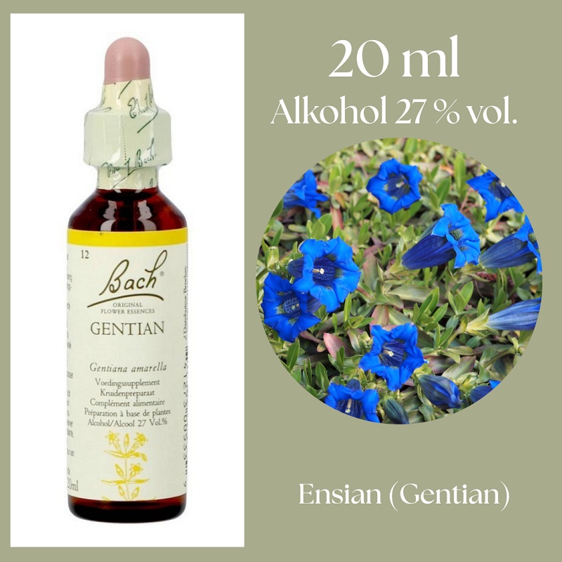 Bach® ORIGINAL FLOWER REMEDIES - Ensian (Gentian) alkohol 27% vol. - 20ml
