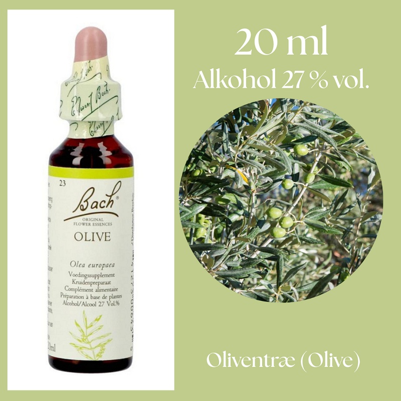 Bach® ORIGINAL FLOWER REMEDIES - Oliventræ (Olive) alkohol 27% vol. - 20ml