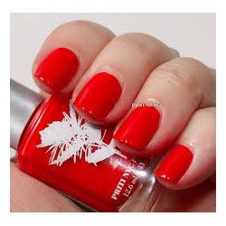 PRITI NYC - N318 - American Beauty - Autumn | Winter Collection 2025-26 