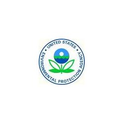 PRITI NYC - N632 - Bachelors Buttons