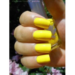 PRITI NYC - N501 - Baby Toes Cactus 