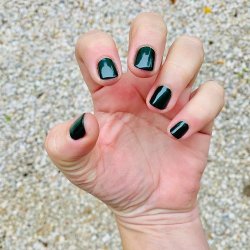 PRITI NYC - N511 - Bird Of Paradise