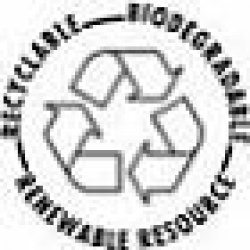 PRITI NYC - N425 - Scarlett Ball Cactus 