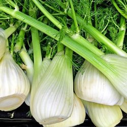 Alteya Organics - Bio Fennel Essential Oil 