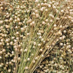 Alteya Organics - Bio Flaxseed oil