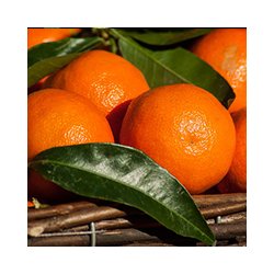 Alteya Organics - Bio Mandarin Essential Oil