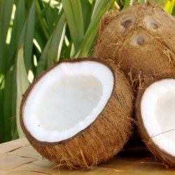 Alteya Organics - BIO Coconut Oil
