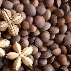 Alteya Organics - Bio Sacha Inchi O