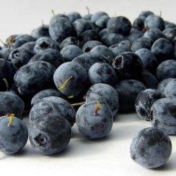 Alteya Organics - Bio Acai Berry Oil