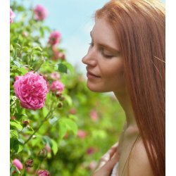 Alteya Organics - Centifolia Rose Water - Zero Waste 120ml