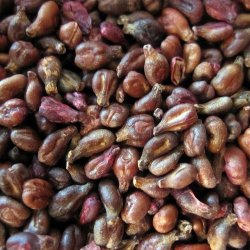 Alteya Organics - Bio Druvkrneolja