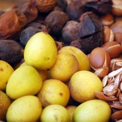 Alteya Organics - Bio Argan Oil