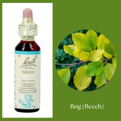 Bach� ORIGINAL FLOWER REMEDIES - Buche (Beech) 27% Alkohol - 20 ml