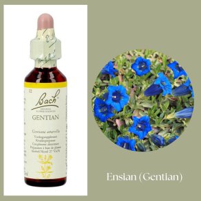Bach� ORIGINAL FLOWER REMEDIES - Enzian (Gentian) 27% Alkohol - 20 ml