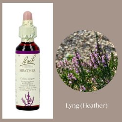 Bach� ORIGINAL FLOWER REMEDIES - Heidekraut (Heather) 27% Alkohol - 20 ml