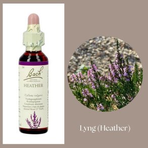 Bach� ORIGINAL FLOWER REMEDIES - Heidekraut (Heather) 27% Alkohol - 20 ml