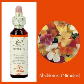 Bach� ORIGINAL FLOWER REMEDIES - Abeblomst (Mimulus) 27% alkohol - 20ml