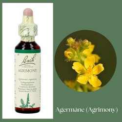 Bach� ORIGINAL FLOWER REMEDIES - Odermennig (Agrimony) 27% Alkohol - 20ml
