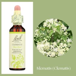 Bach� ORIGINAL FLOWER REMEDIES - Klematis (Clematis) alkohol 27% vol. - 20ml