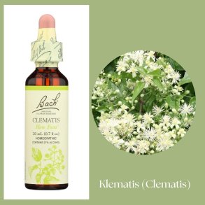 Bach� ORIGINAL FLOWER REMEDIES - Klematis (Clematis) 27% Alkohol - 20 ml