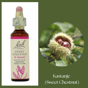 Bach� ORIGINAL FLOWER REMEDIES - Echte Kastanie (Sweet Chestnut) 27% Alkohol - 20 ml