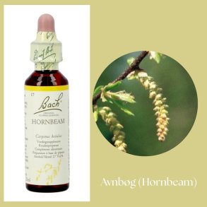 Bach� ORIGINAL FLOWER REMEDIES - Hainbuche (Hornbeam) 27% Alkohol - 20 ml