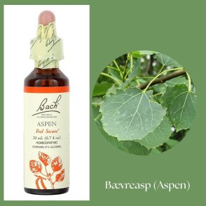 Bach� ORIGINAL FLOWER REMEDIES - Biber-Espe (Aspen) 27% Alkohol - 20 ml