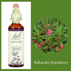 Bach� ORIGINAL FLOWER REMEDIES - Balsamin (Impatiens) alkohol 27% vol. - 20ml