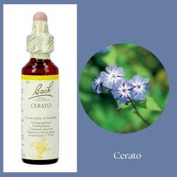 Bach� ORIGINAL FLOWER REMEDIES - Cikoria (Chicory) alkohol 27% vol. - 20ml