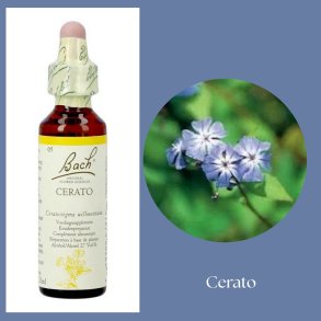 Bach� ORIGINAL FLOWER REMEDIES - Chicoree (Chicory) 27% Alkohol - 20 ml