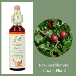 Bach� ORIGINAL FLOWER REMEDIES - K�rsb�rsplommon (Cherry Plum) alkohol 27% vol. - 20ml