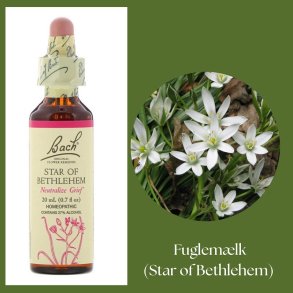 Bach� ORIGINAL FLOWER REMEDIES - Vogelmilch (Star of Bethlehem) 27% Alkohol - 20 ml