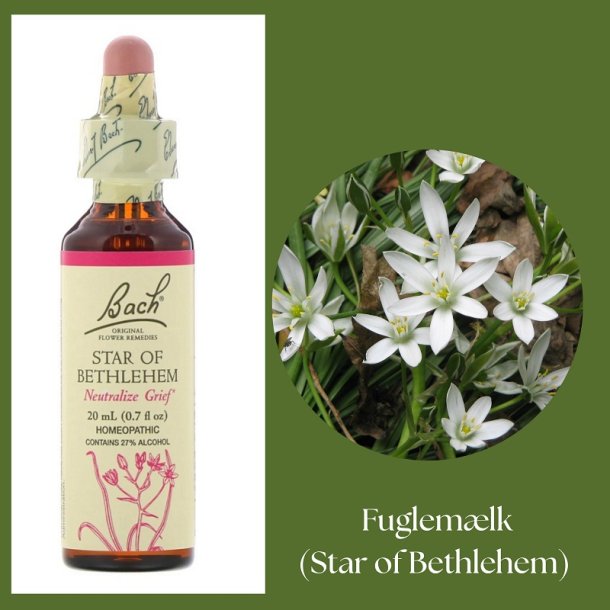 Bach� ORIGINAL FLOWER REMEDIES -  Bird's milk (Star of Bethlehem) 27% alcohol - 20ml