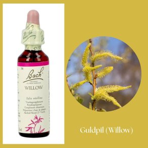 Bach� ORIGINAL FLOWER REMEDIES - Trauerweide (Willow) 27% Alkohol - 20 ml