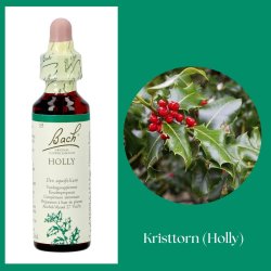 Bach� ORIGINAL FLOWER REMEDIES - Stechpalme (Holly) 27% Alkohol - 20 ml