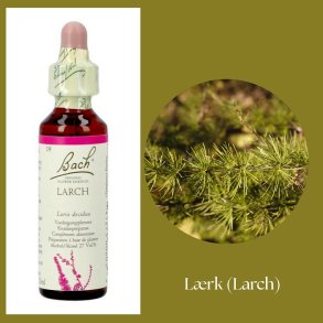 Bach� ORIGINAL FLOWER REMEDIES - L�rche (Larch) 27% Alkohol - 20 ml