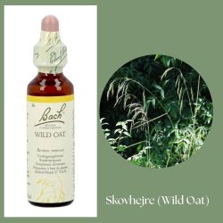 Bach� ORIGINAL FLOWER REMEDIES - Waldreiher (Wild Oat) 27% Alkohol - 20 ml