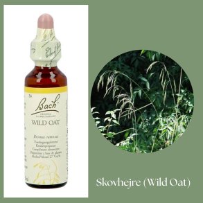 Bach� ORIGINAL FLOWER REMEDIES - Waldreiher (Wild Oat) 27% Alkohol - 20 ml