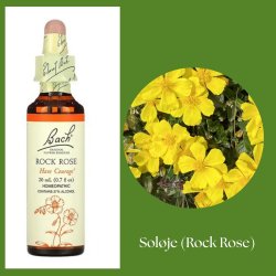 Bach� ORIGINAL FLOWER REMEDIES - Sol�ga (Rock Rose) alkohol 27% vol. - 20ml